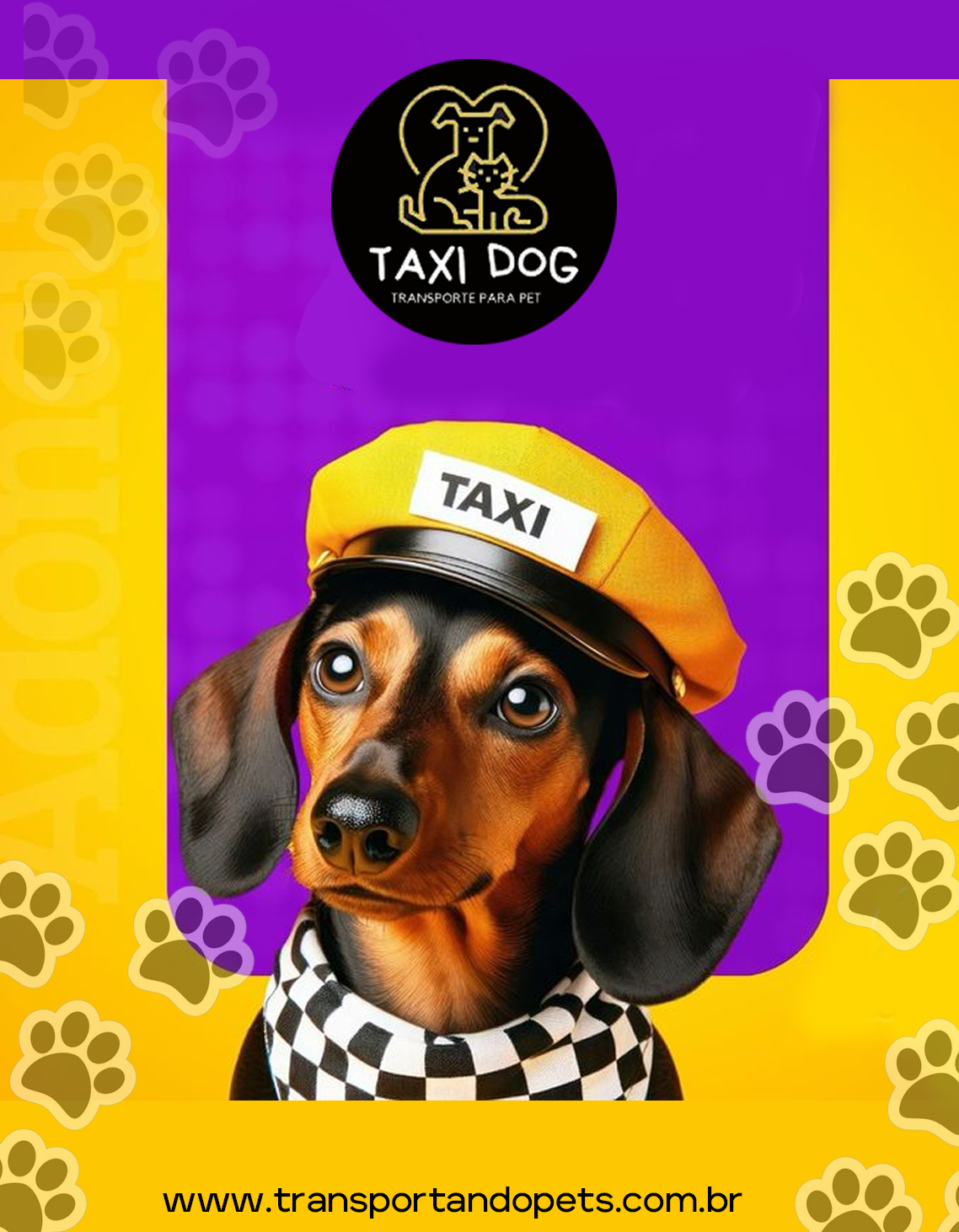 Segurança no transporte de animais: o que você precisa saber