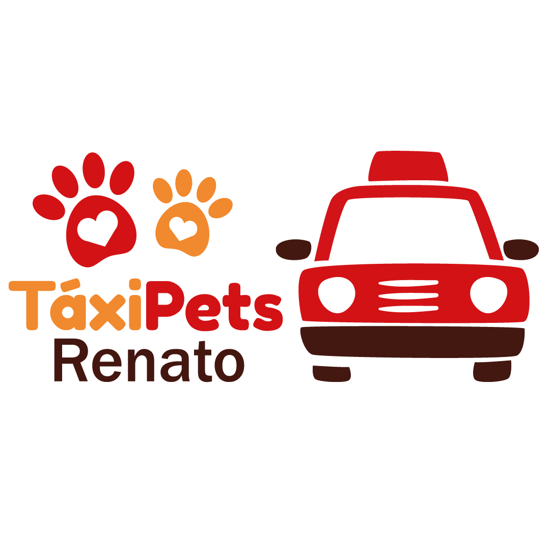 Como adaptar seu carro para Táxi Dog