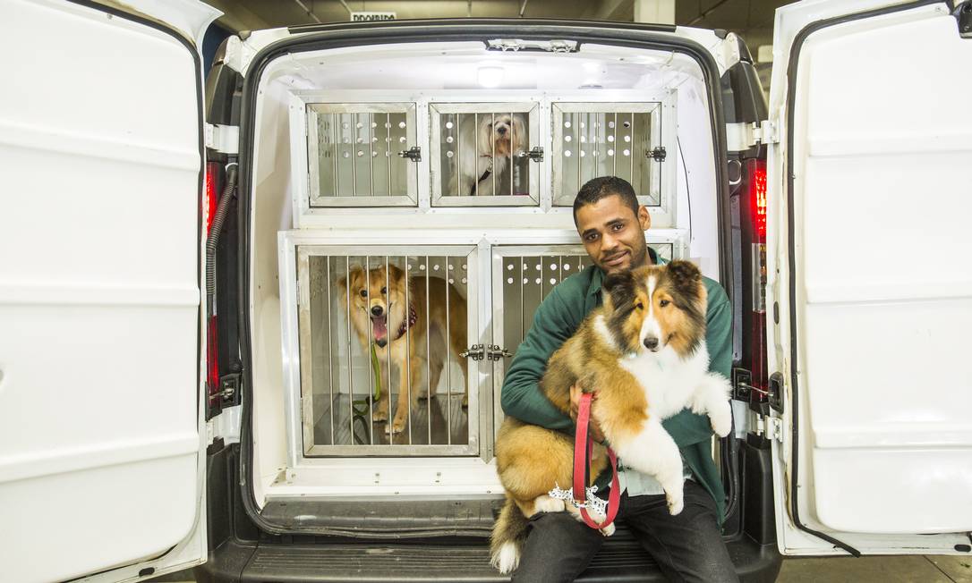 Estratégias de marketing para serviços de Táxi Dog