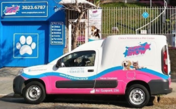 ideias de renda extra com táxi dog (transporte de pets)