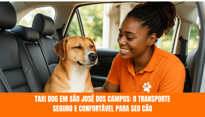 Como adaptar seu carro para Táxi Dog