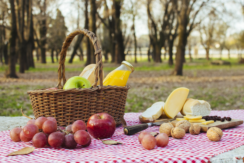 ideias de lanches saudáveis para piquenique no parque