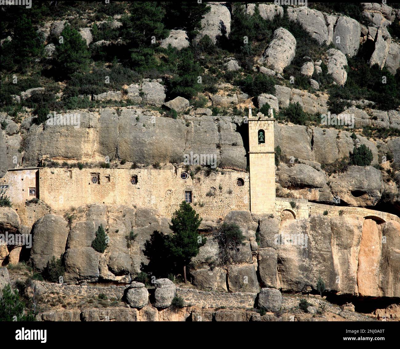 Fósseis Incrustados: Janelas para o Passado