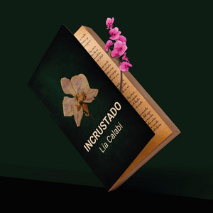 Como Remover Gordura Incrustada do Fogão