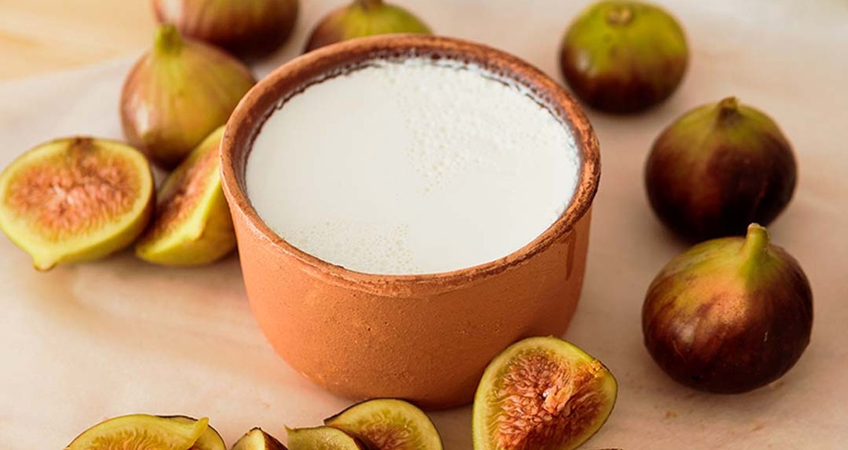 Iogurte Integral vs. Desnatado: Qual o Melhor para Perder Peso?