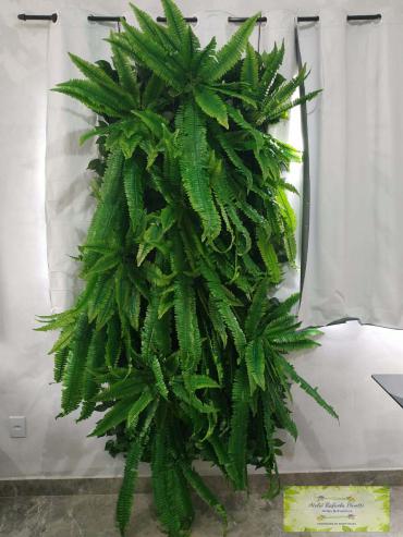 5 Melhores Espécies de Samambaia para Ambientes Internos