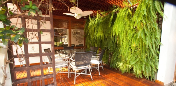 Samambaia Artificial vs. Natural: Qual a Melhor Opção para Você?