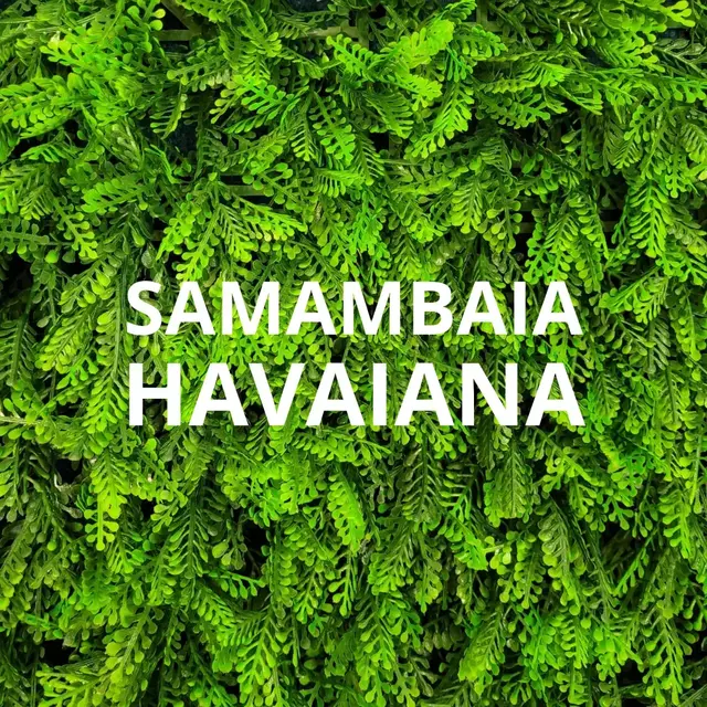 Como Escolher o Vaso Ideal para seu Jardim Vertical