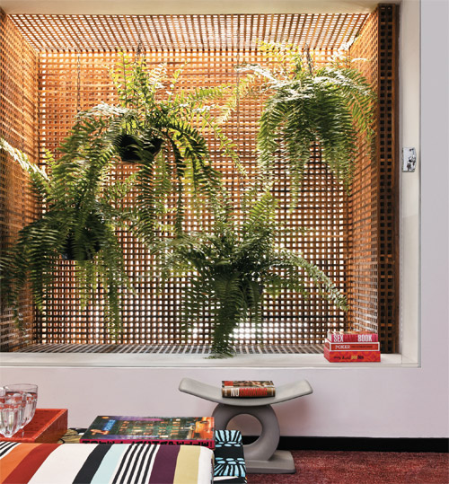 Samambaia Artificial vs. Natural: Qual a Melhor Opção para Você?