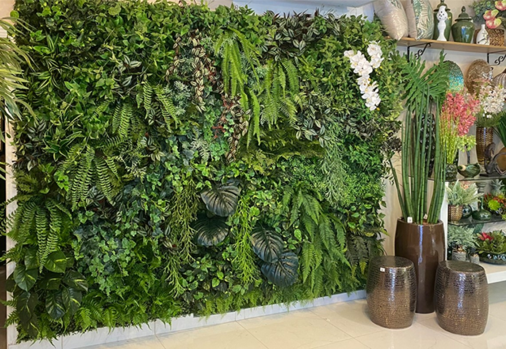 Dicas de Iluminação e Rega para Samambaias Saudáveis