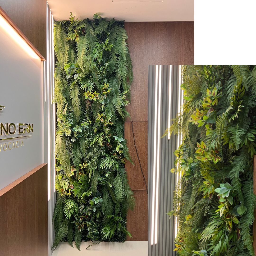 5 Melhores Espécies de Samambaia para Ambientes Internos