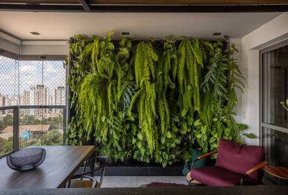 Dicas de Iluminação e Rega para Samambaias Saudáveis