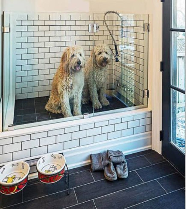 melhores kits banho cachorro grande casa