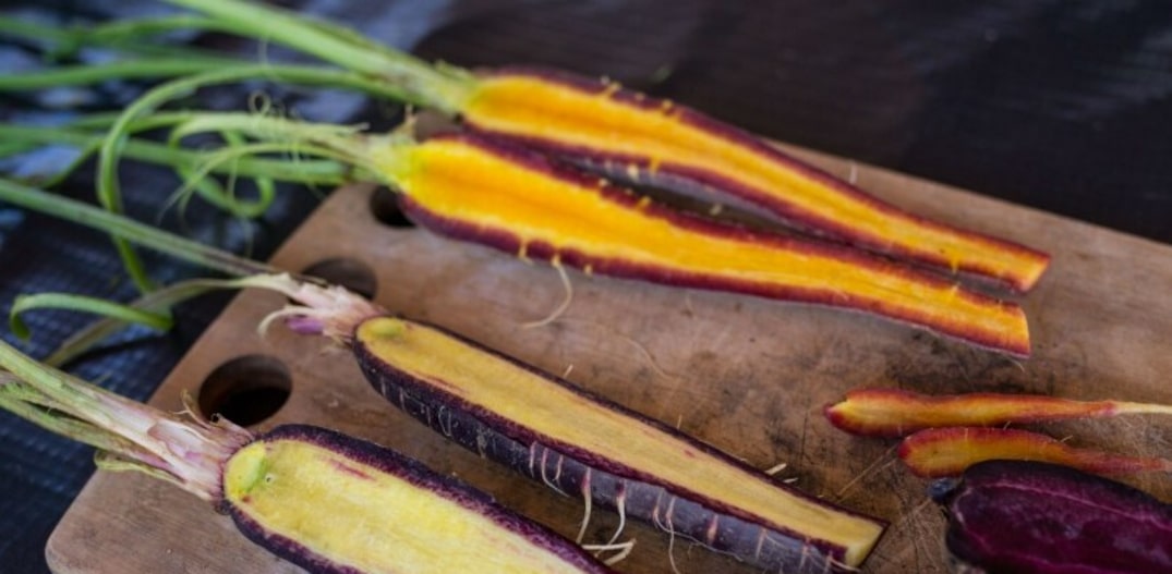 erros comuns ao cozinhar daikon