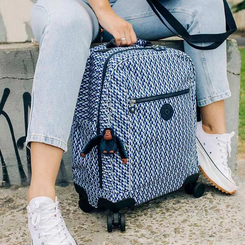 mala de rodinha ou mochila para viagem de trem