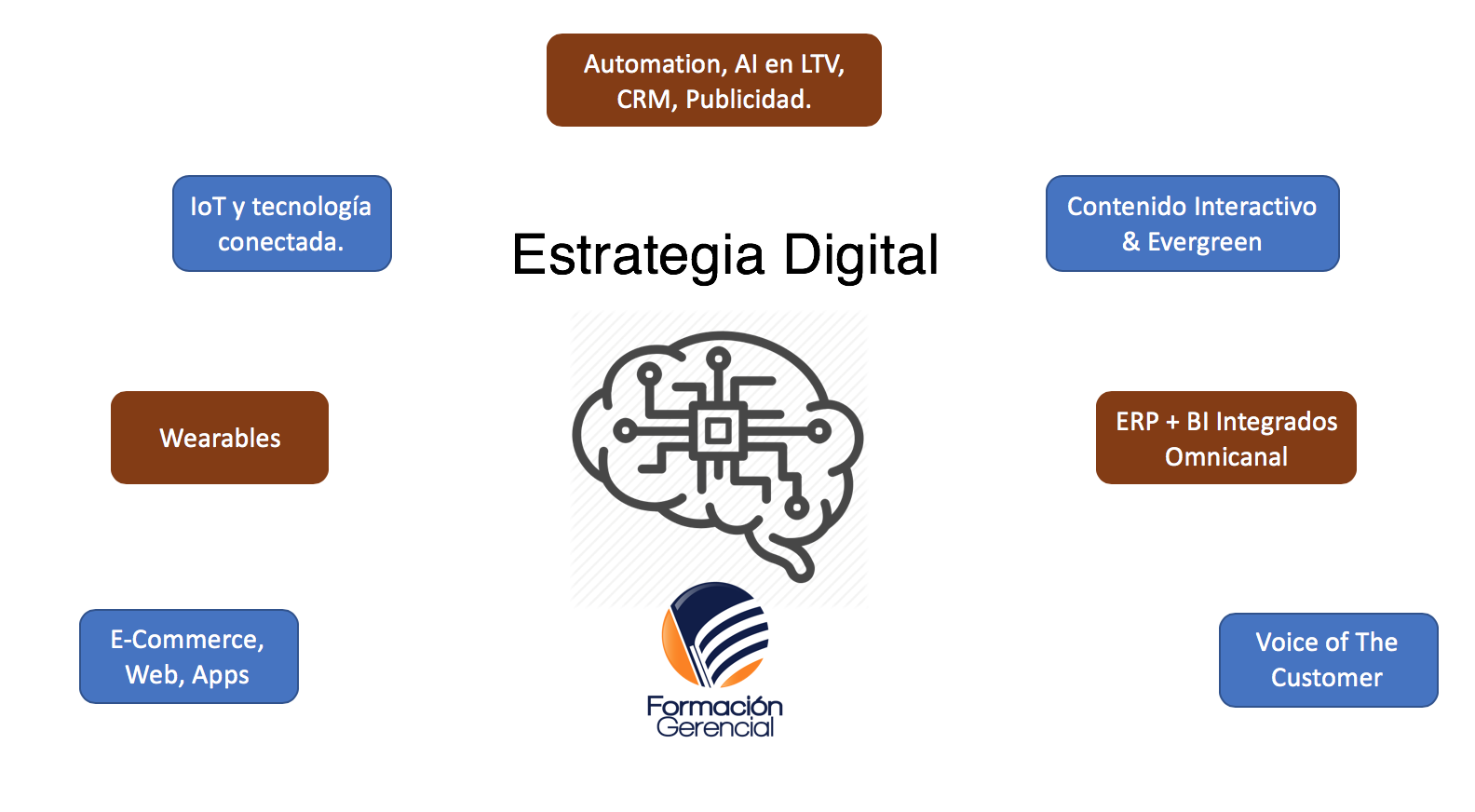 mapa mental de conteúdo