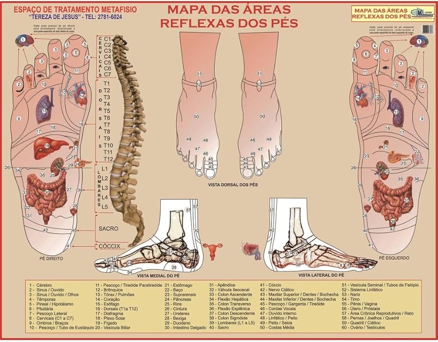 mapeamento completo dos pontos reflexos dos pés guia prático
