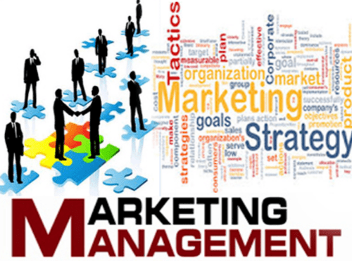 Carreira em Marketing: Salário