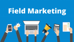 marketing field