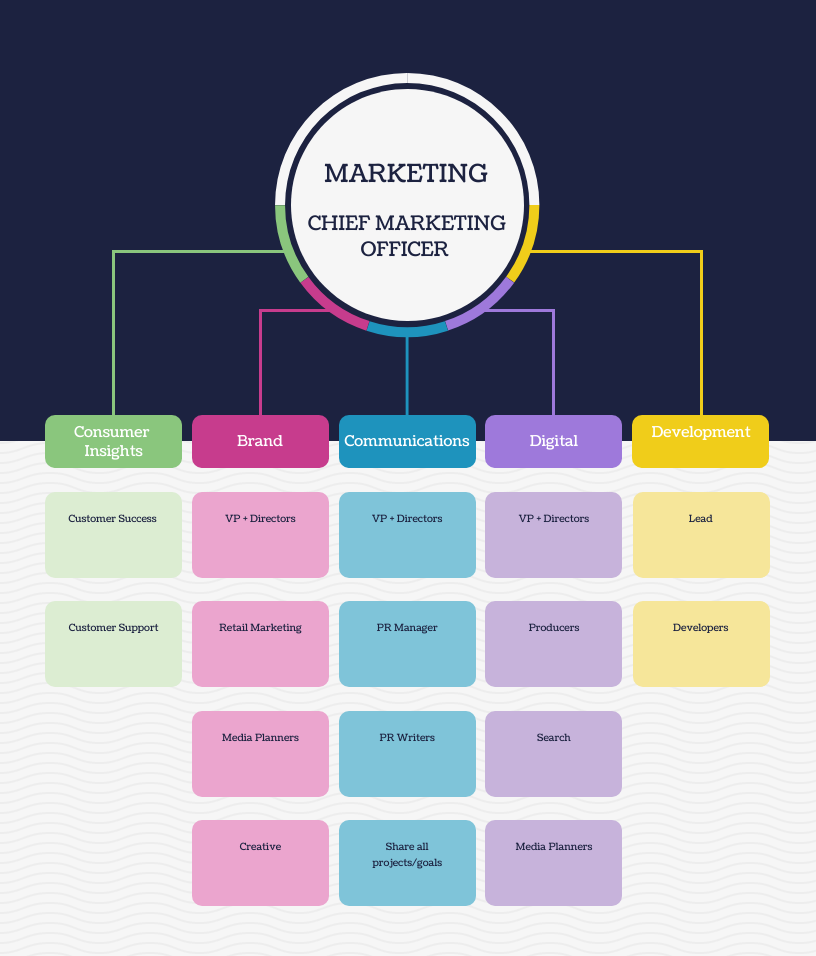 estrutura de departamento de marketing