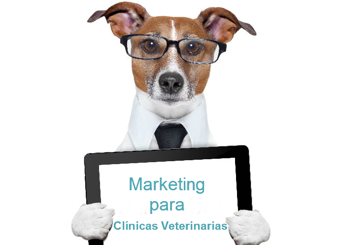 marketing para veterinários