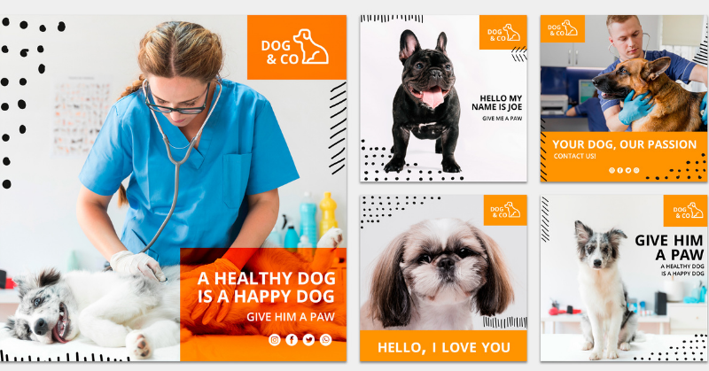 Guia Completo: Como Usar o Instagram para Atrair Tutores para sua Clínica Veterinária