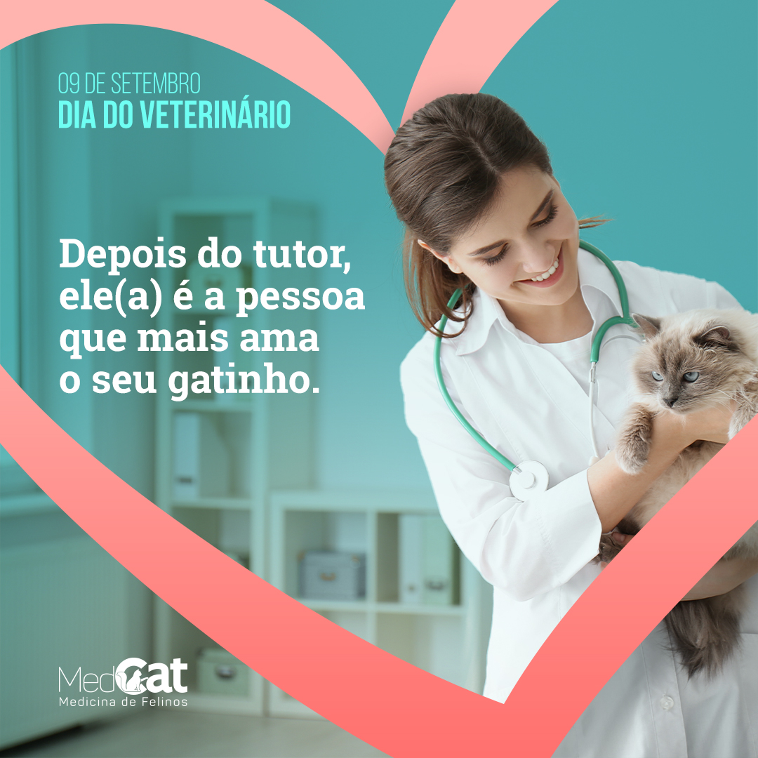 Google Meu Negócio para Veterinários: Maximizando sua Visibilidade Local