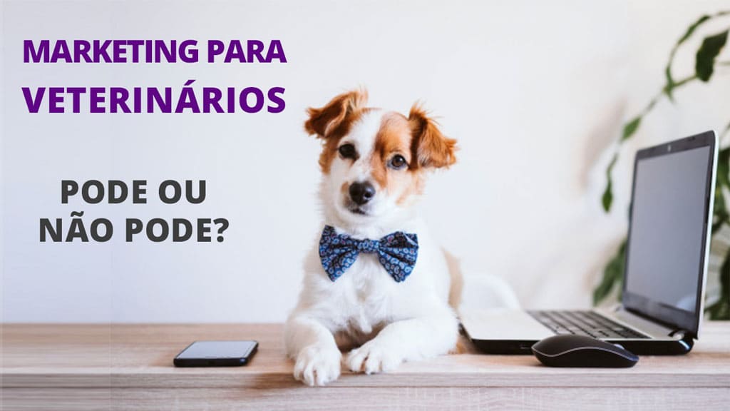 Programas de Fidelidade Pet: Estratégias para Reter Clientes e Aumentar o Faturamento
