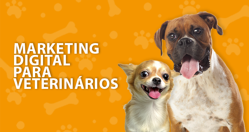 Marketing Ético na Veterinária: O Que o CFMV Permite e Proíbe na Divulgação