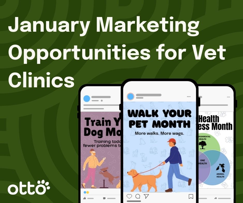 Tráfego Pago para Clínicas Veterinárias: Anúncios que Convertem em Consultas