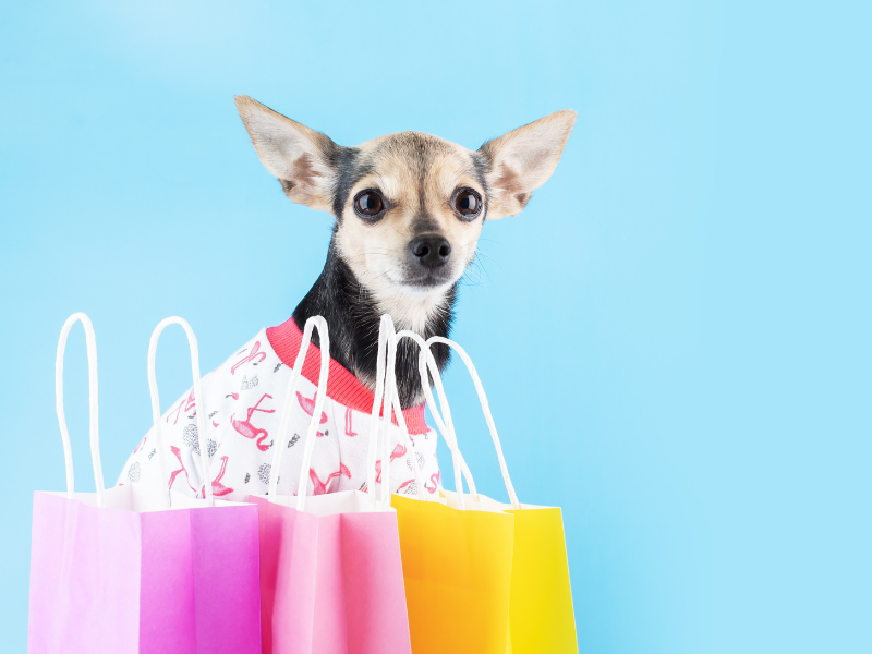 Guia Completo: Como Usar o Instagram para Atrair Tutores para sua Clínica Veterinária