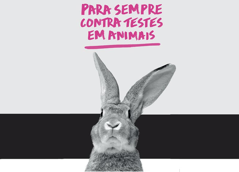 marketing social e marketing societal