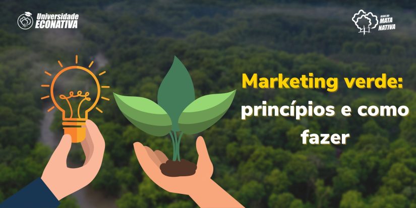 exemplos de marketing verde para pequenas empresas