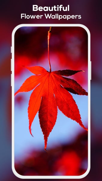 Os melhores wallpapers de paisagens para PC em 2026