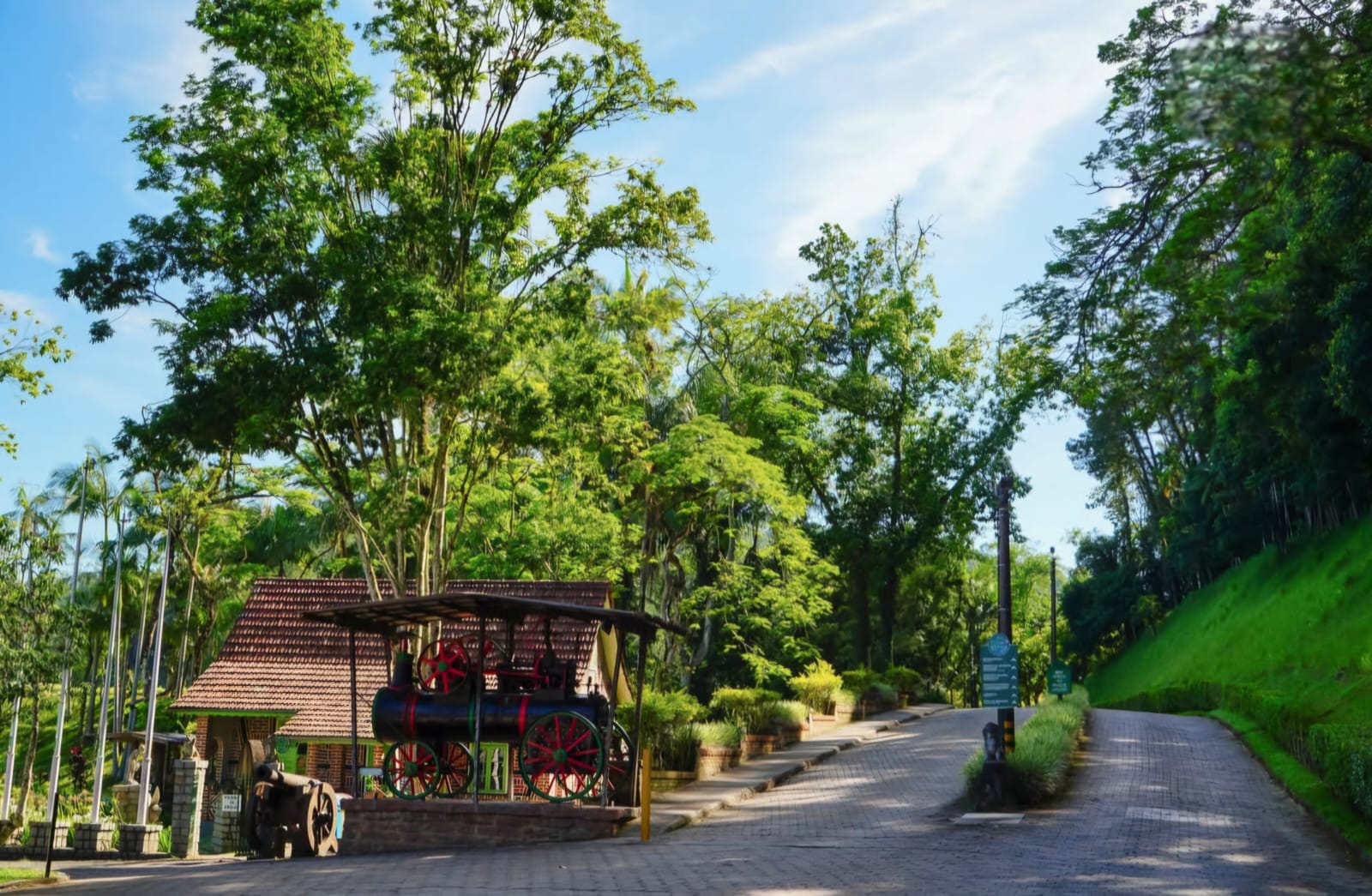 melhores atividades para fazer no parque malwee