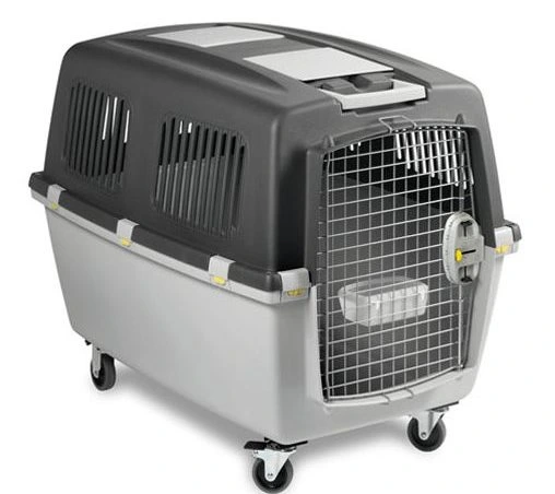 melhores caixas de transporte para viagem de avião com cachorro