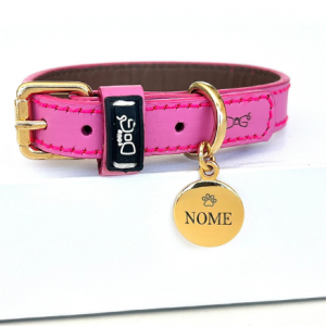 melhores coleiras com identificação (plaquinha)