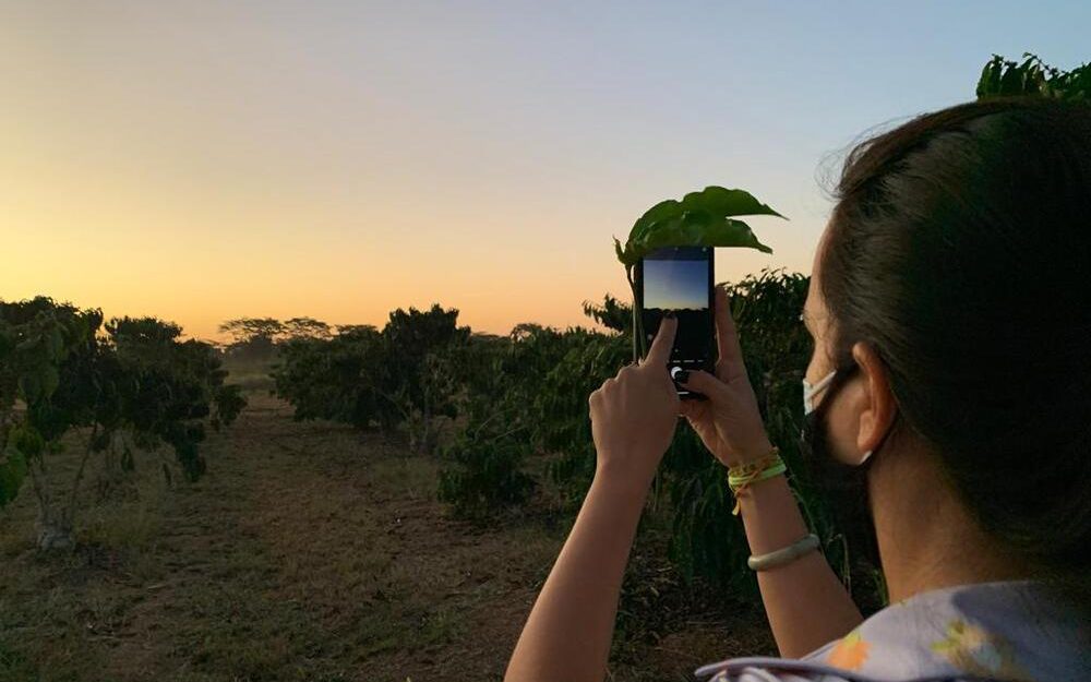 Além da Xícara: A História do Café nas Fazendas Imperiais do Vale do Rio