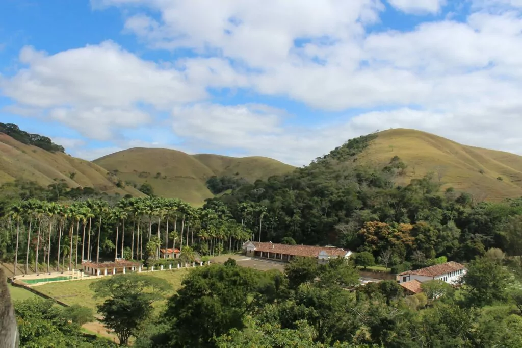 Cafés Especiais de Minas: Descubra os Segredos da Produção Premiada