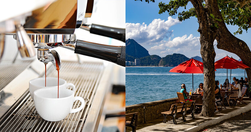 Onde Encontrar o Jacu Bird Coffee: Uma Experiência Única nas Montanhas Capixabas