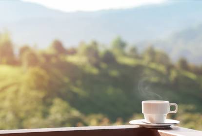 Guia Completo: Como Planejar Sua Viagem Pelas Rotas do Café em 2026