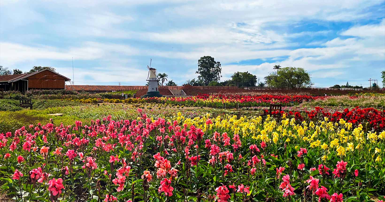 melhores destinos para turismo de flores no brasil