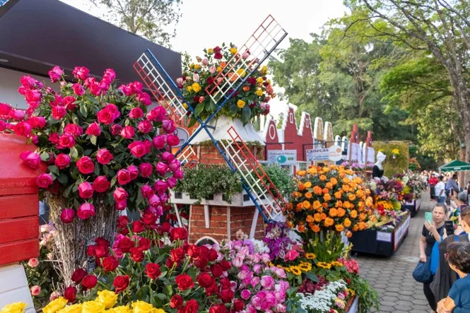 Garanhuns: Onde a florada encontra a cultura no Nordeste