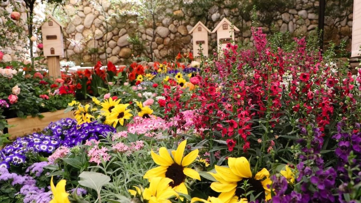 Roteiro de 3 dias em Holambra: O que fazer na Capital das Flores