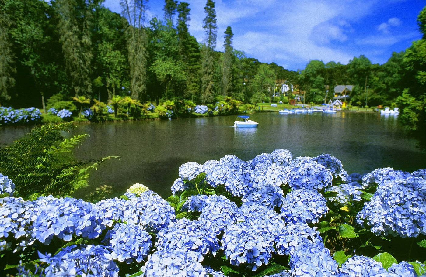 Roteiro de 3 dias em Holambra: O que fazer na Capital das Flores
