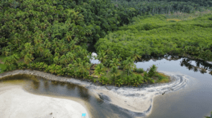 melhores destinos para voluntariado ambiental 2026