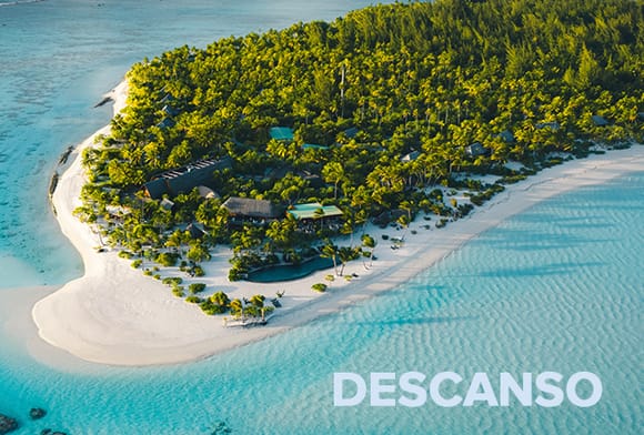 melhores destinos para voluntariado ambiental 2026