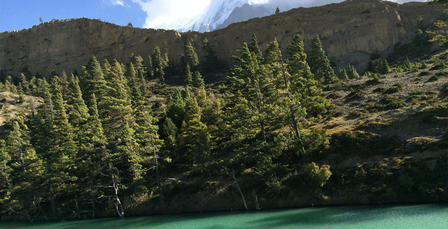 custo médio de um intercâmbio de voluntariado