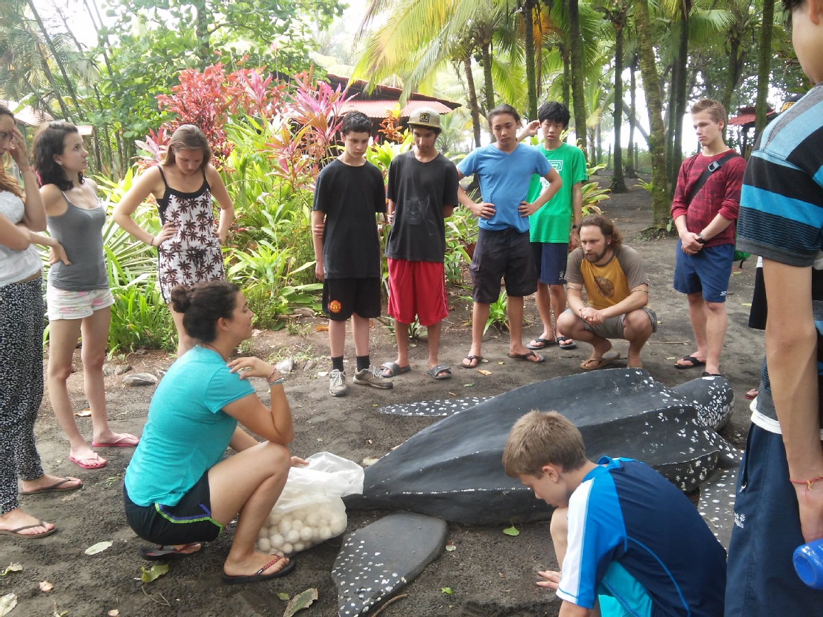 custo médio de um intercâmbio de voluntariado