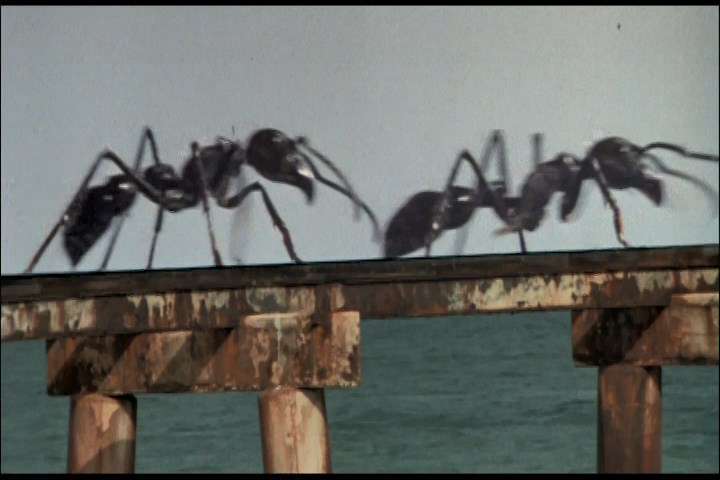 melhores filmes de terror sobre formigas gigantes